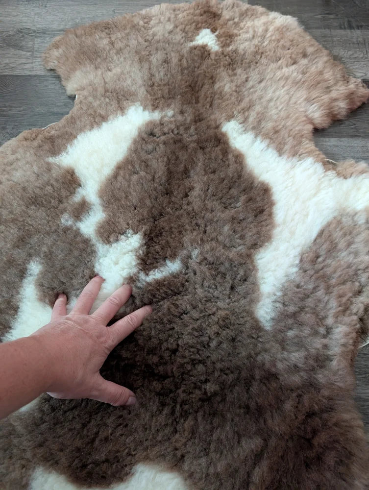 A plush highland spotted sheepskin rug with soft brown and white fur in tibet highland spotted style sh2 41.5 x 26