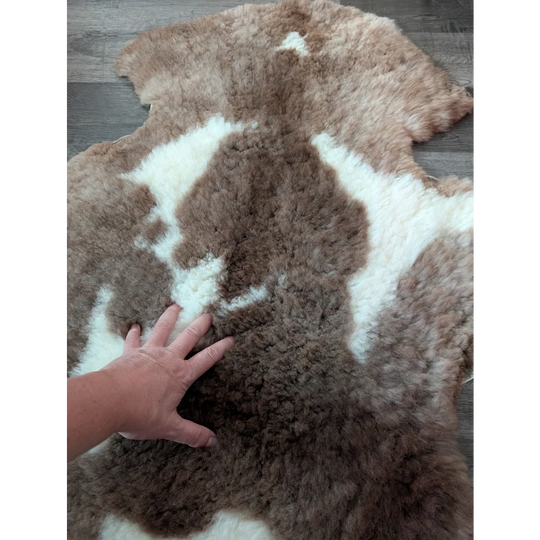 A plush highland spotted sheepskin rug with soft brown and white fur in tibet highland spotted style sh2 41.5 x 26