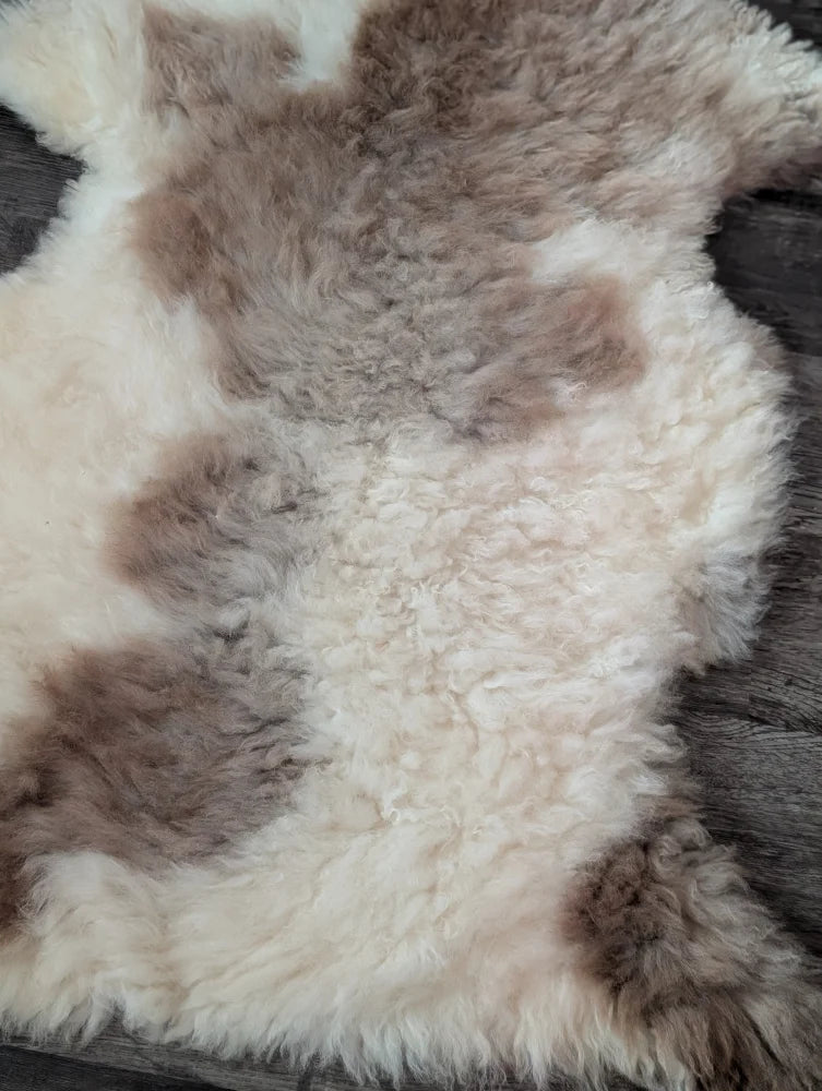 A soft fluffy tibet highland spotted sheepskin rug in cream and brown mottled pattern 40.5 x 26 inches