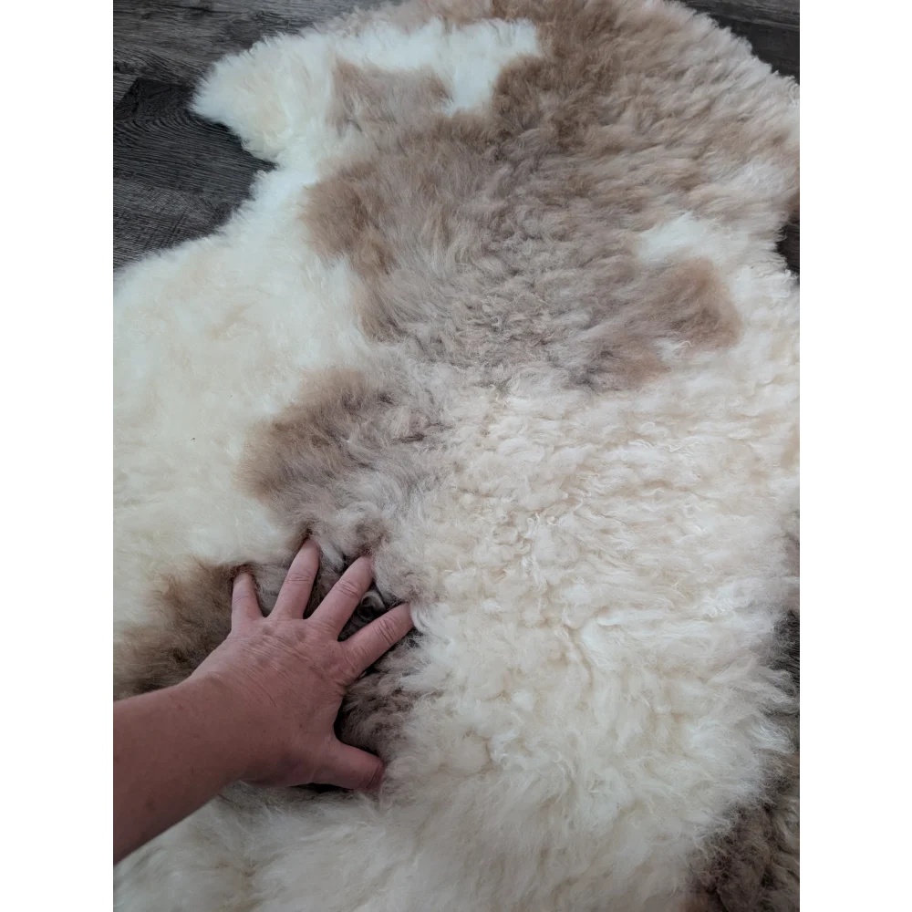 A soft fluffy tibet highland spotted sheepskin rug in creamy white and light brown patches grade a quality