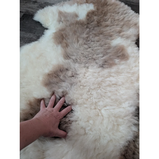 A soft fluffy tibet highland spotted sheepskin rug in creamy white and light brown patches grade a quality