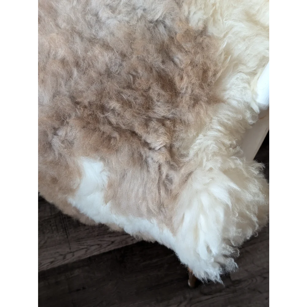 Fluffy tibet highland spotted sheepskin rug in cream and light brown tones 40.5 x 26 grade a natural colors