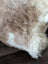 Fluffy tibet highland spotted sheepskin rug in cream and light brown tones 40.5 x 26 grade a natural colors