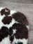 Brown and white curly tibet highland spotted sheepskin rug 39 by 25 inches grade a quality for cozy decor