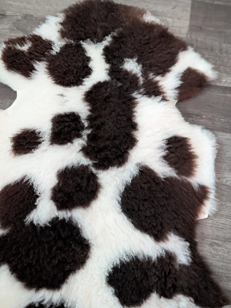 A plush tibet highland spotted grade a sheepskin rug in black and white spotted pattern measuring 39 by 25 inches