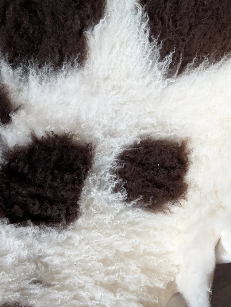 A plush curly white and black tibet highland spotted sheepskin rug with soft fluffy texture measuring 39 by 25 inches
