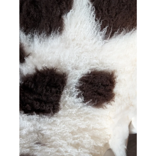 A plush curly white and black tibet highland spotted sheepskin rug with soft fluffy texture measuring 39 by 25 inches