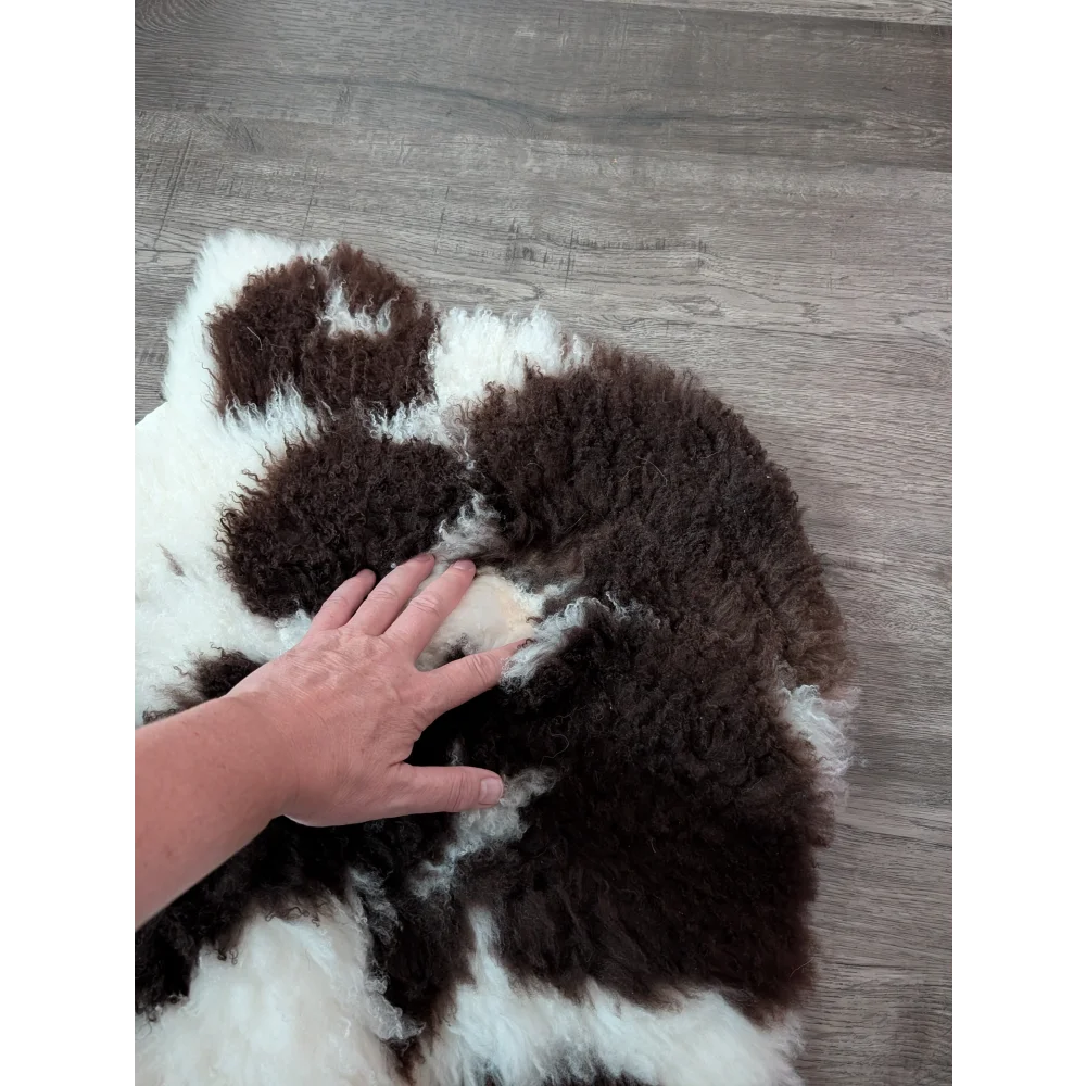 A plush curly brown and white highland spotted sheepskin rug made from soft tibet highland spotted wool