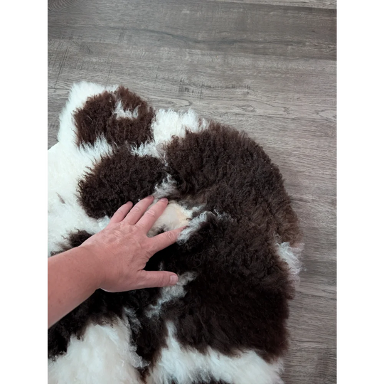 A plush curly brown and white highland spotted sheepskin rug made from soft tibet highland spotted wool
