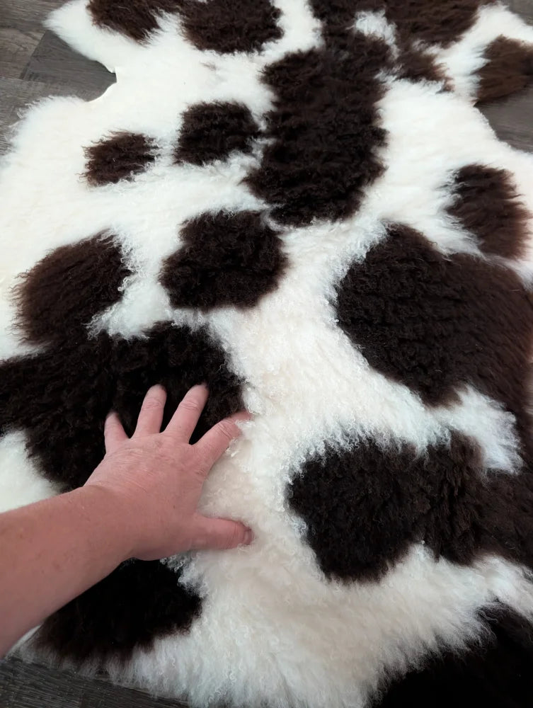 A plush 39 x 25 inch tibet highland spotted sheepskin rug with black and white cow print pattern