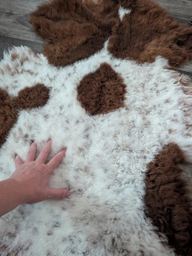 A plush white and brown highland spotted sheepskin rug with soft curly texture perfect for cozy decor