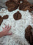 A plush white and brown highland spotted sheepskin rug with soft curly texture perfect for cozy decor