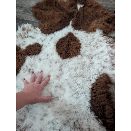 A plush white and brown highland spotted sheepskin rug with soft curly texture perfect for cozy decor