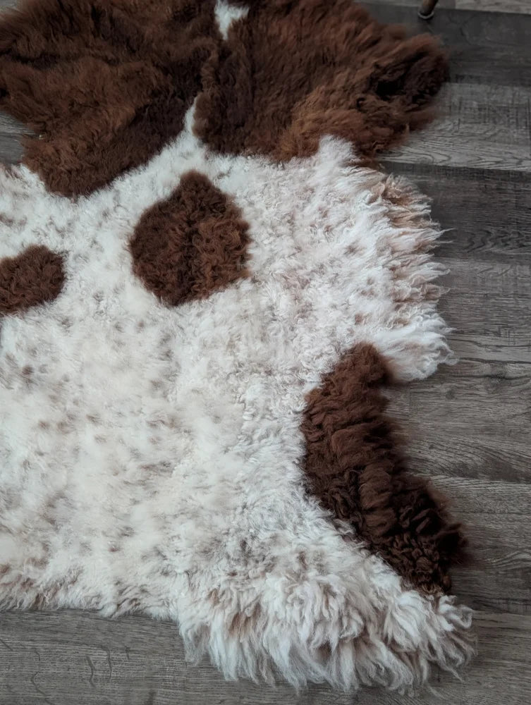 A plush 43 x 27 inch tibet highland spotted sheepskin rug with curly white and brown cow-print and natural edge