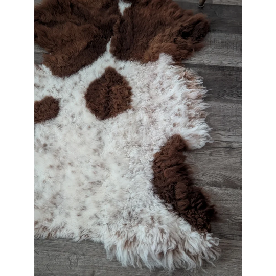 A plush 43 x 27 inch tibet highland spotted sheepskin rug with curly white and brown cow-print and natural edge