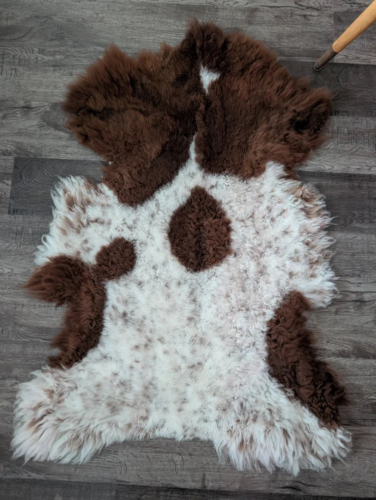 A plush fluffy brown and white highland spotted sheepskin rug with a natural irregular pattern from tibet highland spotted
