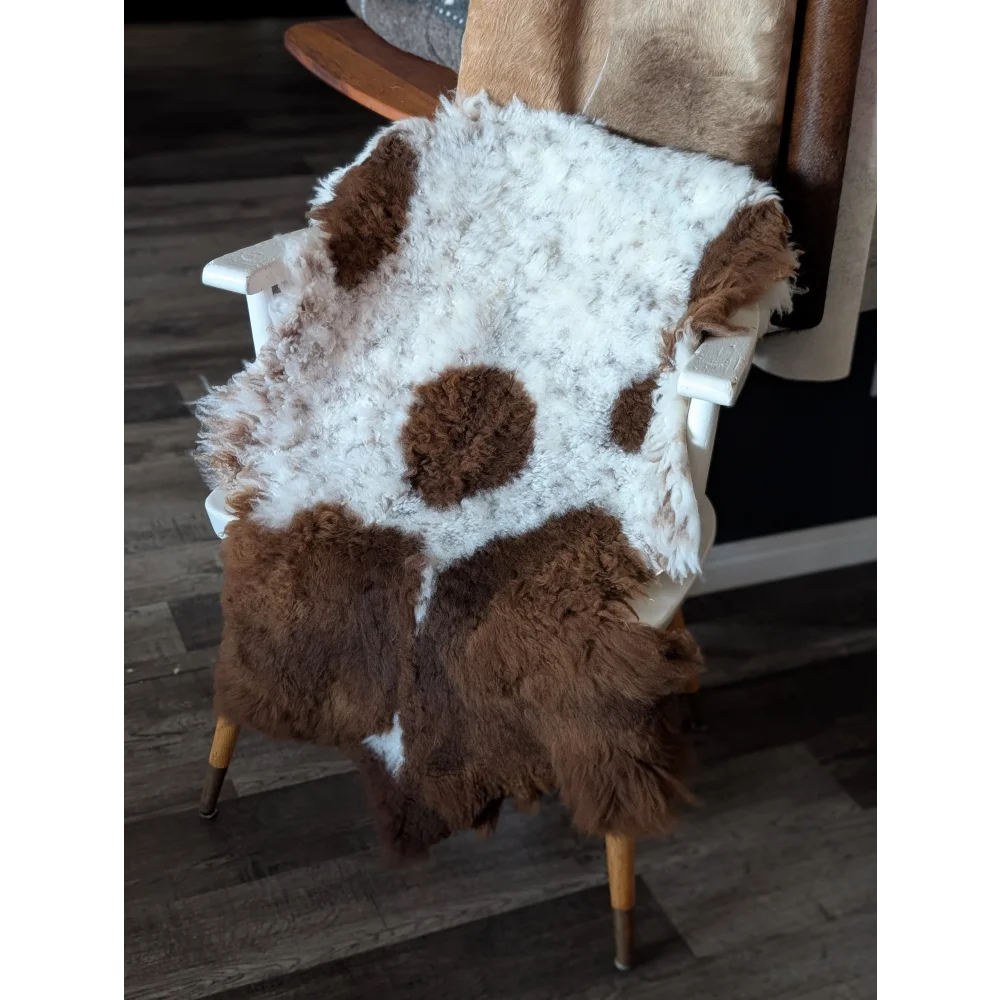 A plush white and brown tibet highland spotted sheepskin rug draped over a wooden chair with fluffy texture
