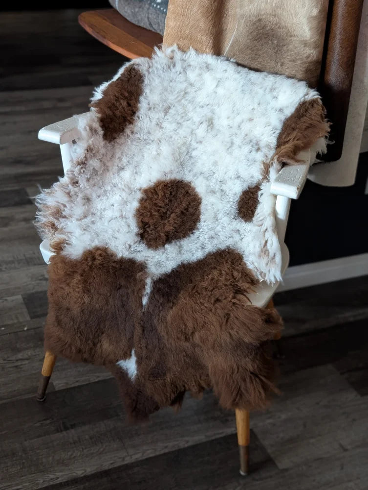 A plush white and brown tibet highland spotted sheepskin rug draped over a wooden chair with fluffy texture