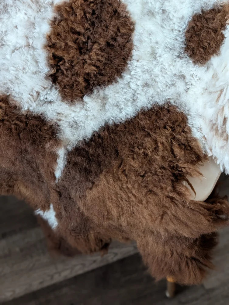 A plush 43x27 inch tibet highland spotted sheepskin rug with curly brown and white fur and soft texture