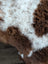 A fluffy tibet highland spotted sheepskin with curly white and brown wool measuring 43 by 27 inches