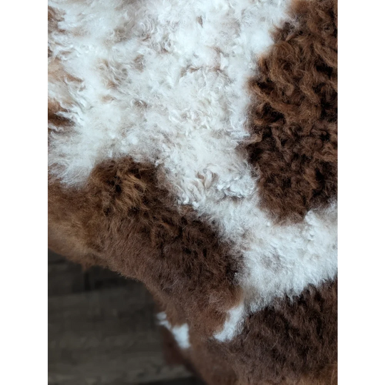A fluffy tibet highland spotted sheepskin with curly white and brown wool measuring 43 by 27 inches
