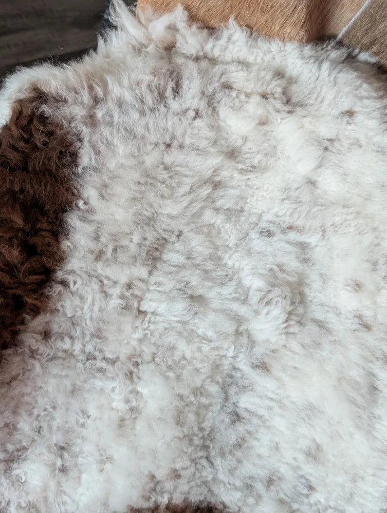 Gorgeous tibet highland spotted sheepskin rug with soft curly white fur and subtle brown patches for cozy decor