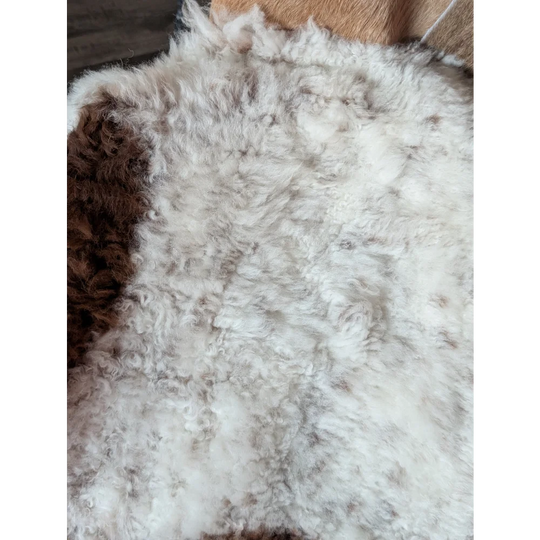 Gorgeous tibet highland spotted sheepskin rug with soft curly white fur and subtle brown patches for cozy decor
