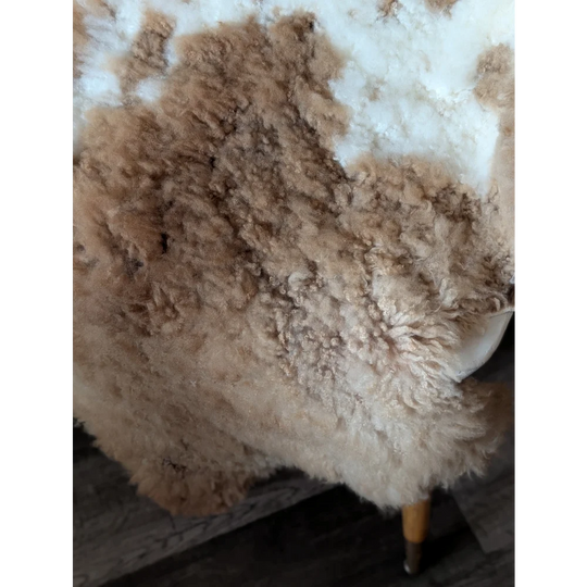 A cream tibet highland spotted sheepskin rug with soft curly texture and natural brown patches 44 by 26 inches