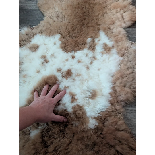 A plush tibet highland spotted sheepskin rug with creamy white and warm brown fur for cozy home decor