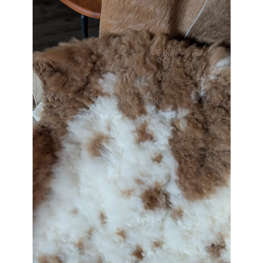 A plush curly brown and white tibet highland spotted sheepskin rug with soft natural texture measuring 44 x 26 inches