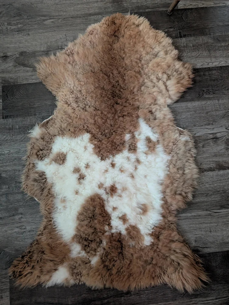 A soft brown and white tibet highland spotted sheepskin rug in plush grade a natural wool design