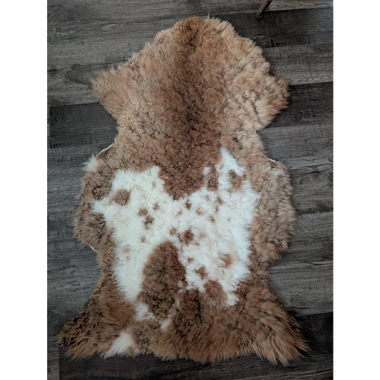 A soft brown and white tibet highland spotted sheepskin rug in plush grade a natural wool design