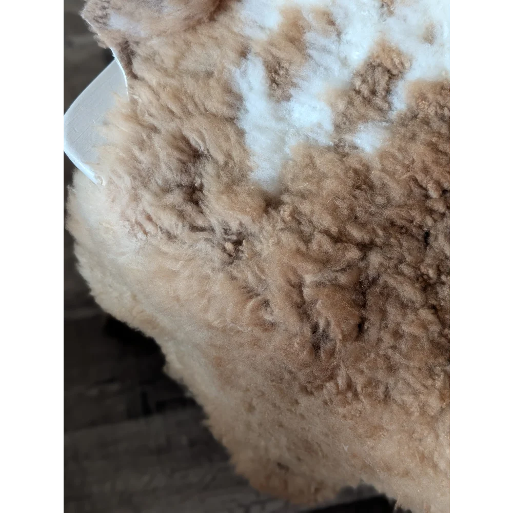 A fluffy light brown and white tibet highland spotted sheepskin rug with a soft textured surface 44 x 26 inches