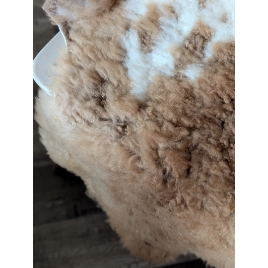 A fluffy light brown and white tibet highland spotted sheepskin rug with a soft textured surface 44 x 26 inches