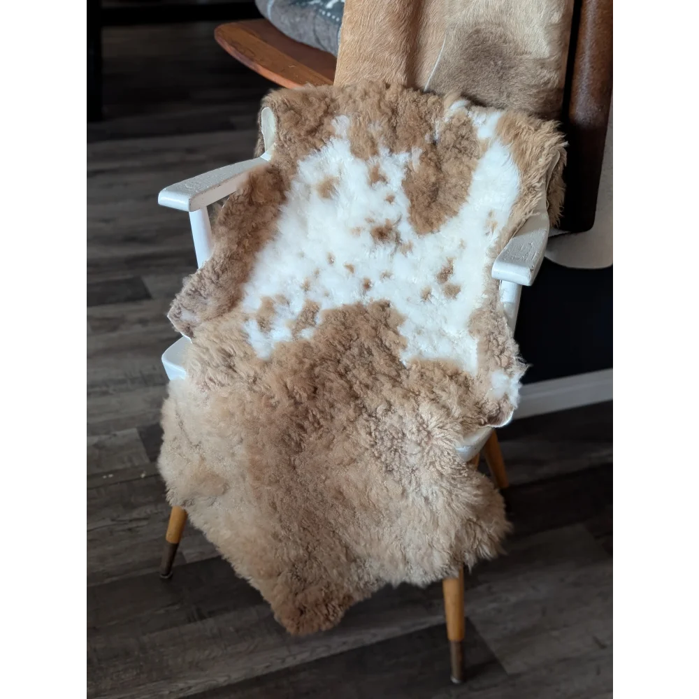 A cozy tibet highland spotted sheepskin rug with creamy white and brown patches draped over a vintage wooden chair seat