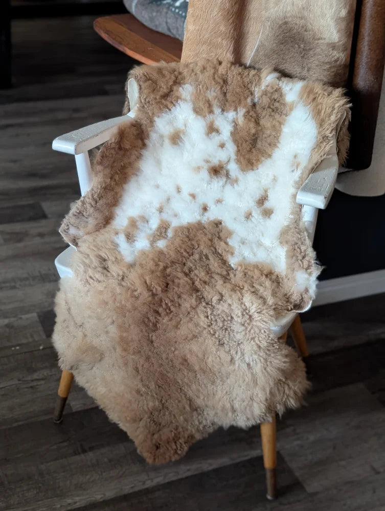 A cozy tibet highland spotted sheepskin rug with creamy white and brown patches draped over a vintage wooden chair seat