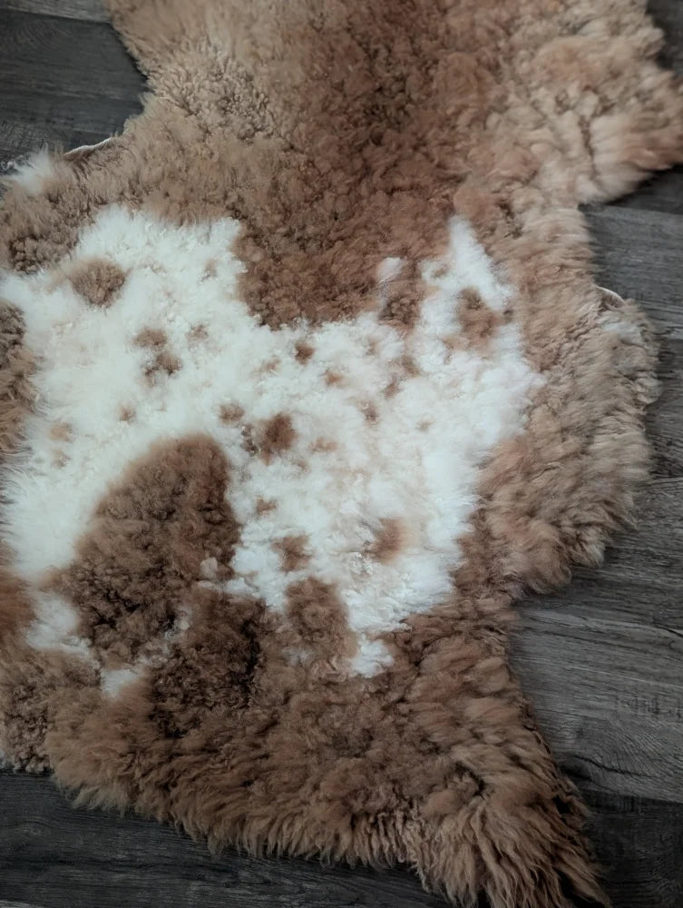 A plush tibet highland spotted sheepskin rug with natural brown and white mottled pattern 44 x 26 inches