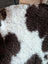 A cozy 41 x 24 inch tibet highland spotted sheepskin blanket in white and brown with soft curly texture