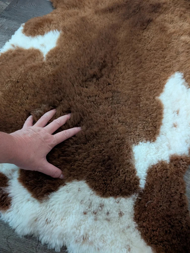 Brown and white plush fluffy tibet highland spotted sheepskin rug 43 x 26 inches perfect for cozy decor
