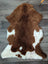 Brown and white gorgeous tibet highland spotted sheepskin rug with plush natural fur texture 43 x 26 inches