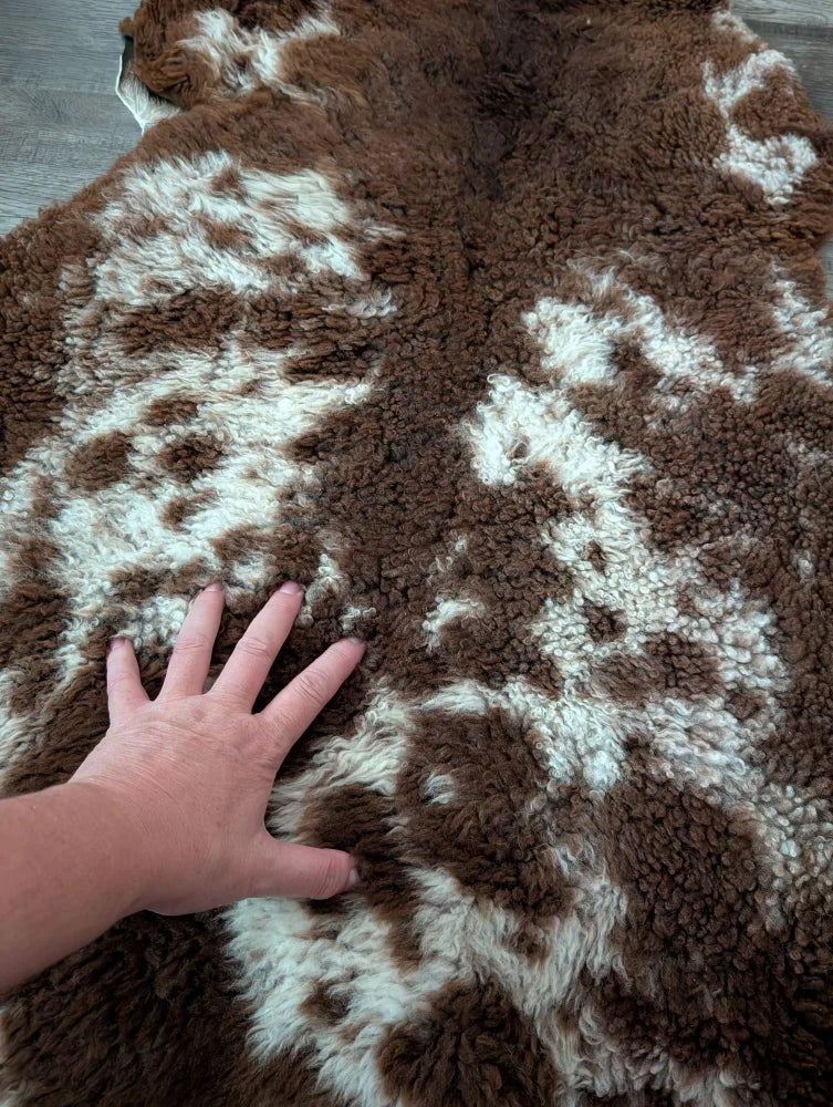 Brown and white plush tibet highland spotted sheepskin rug 41 by 25 inches with a soft fluffy texture