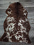 Brown and white speckled tibet highland spotted sheepskin rug with plush natural fur texture 41 x 25 inches