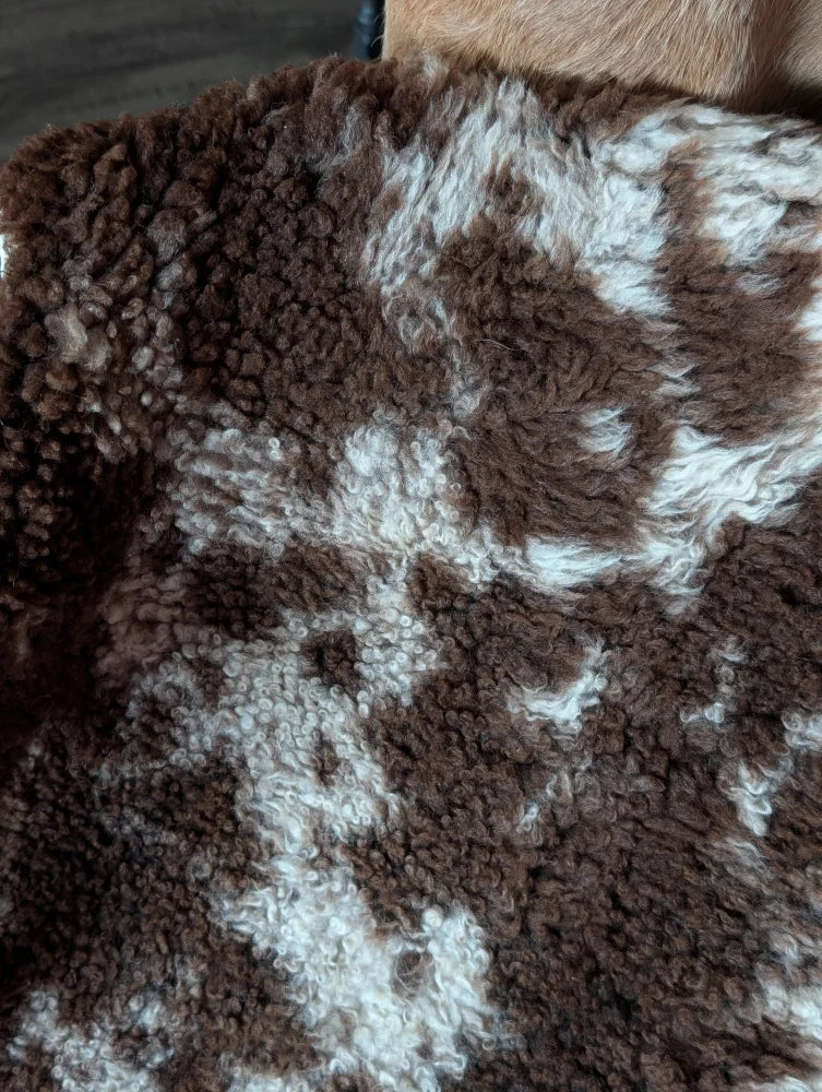 Brown and white curly fur blanket made from grade a tibet highland spotted sheepskin 41 x 25 inches