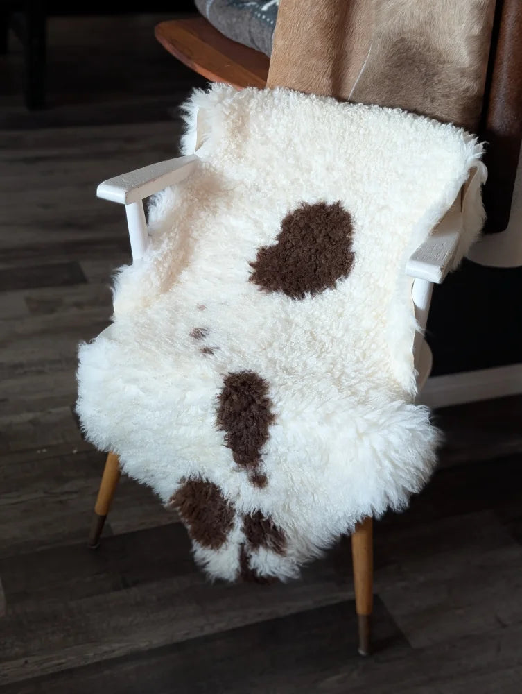White and brown tibet highland spotted sheepskin rug draped over white wooden chair perfect for cozy decor