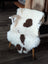 White and brown tibet highland spotted sheepskin rug draped over white wooden chair perfect for cozy decor