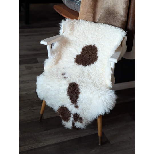 White and brown tibet highland spotted sheepskin rug draped over white wooden chair perfect for cozy decor