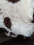 White and brown cow print faux fur throw blanket made of tibet highland spotted sheepskin grade a, 44 by 26 inches