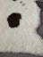 A cream highland spotted sheepskin rug with a dark brown spot from tibet highland spotted collection