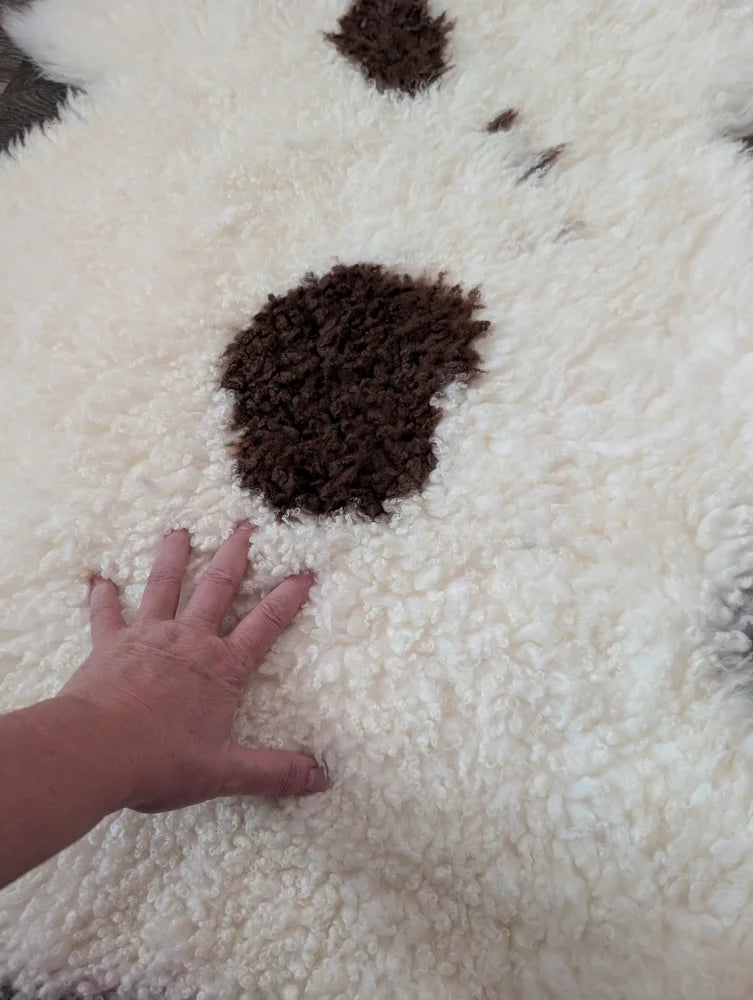 A plush white and brown highland spotted sheepskin rug with soft fluffy texture perfect for cozy decor
