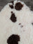 A plush white and brown paw print rug made from soft tibet highland spotted sheepskin grade a material